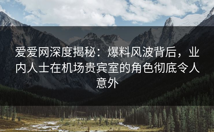 爱爱网深度揭秘：爆料风波背后，业内人士在机场贵宾室的角色彻底令人意外