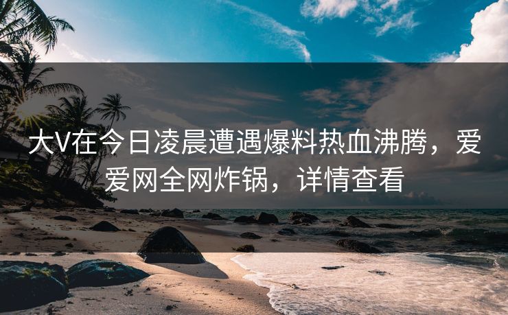 大V在今日凌晨遭遇爆料热血沸腾，爱爱网全网炸锅，详情查看