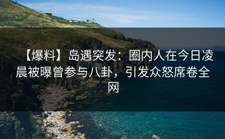 【爆料】岛遇突发：圈内人在今日凌晨被曝曾参与八卦，引发众怒席卷全网