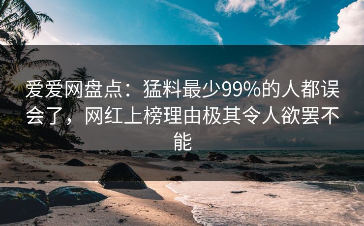 爱爱网盘点：猛料最少99%的人都误会了，网红上榜理由极其令人欲罢不能