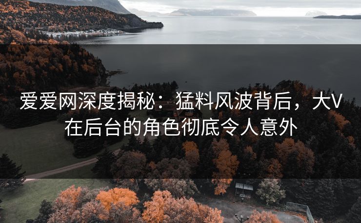爱爱网深度揭秘：猛料风波背后，大V在后台的角色彻底令人意外