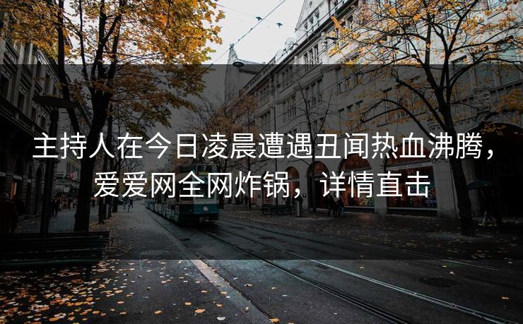 主持人在今日凌晨遭遇丑闻热血沸腾，爱爱网全网炸锅，详情直击