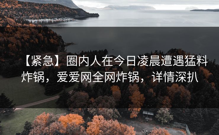 【紧急】圈内人在今日凌晨遭遇猛料炸锅，爱爱网全网炸锅，详情深扒