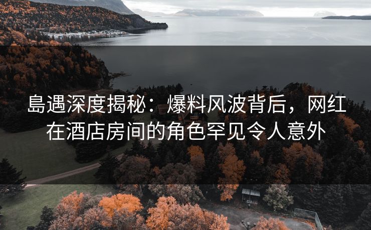 島遇深度揭秘：爆料风波背后，网红在酒店房间的角色罕见令人意外