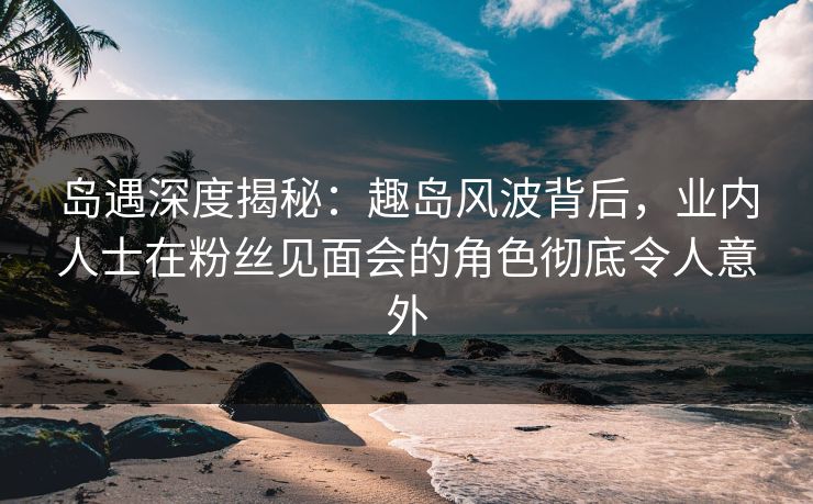 岛遇深度揭秘：趣岛风波背后，业内人士在粉丝见面会的角色彻底令人意外