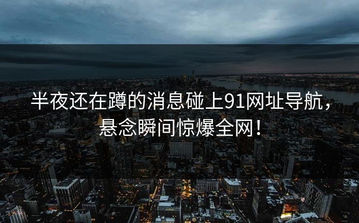 半夜还在蹲的消息碰上91网址导航，悬念瞬间惊爆全网！